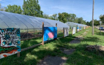 Asbury Farms Connects Neighbors While Producing Fresh Local Food for its Flint Community