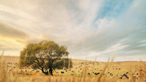 Pastor’s Book Club News